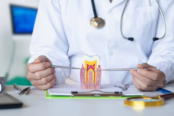 Best Same-Day Emergency Dentist in Chadbourn, NC